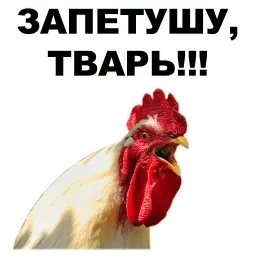 Петушары sticker 10