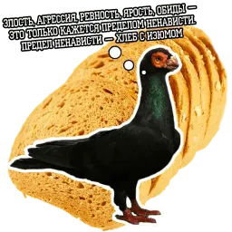 Философствующие голуби sticker 11