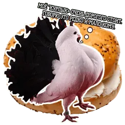 Философствующие голуби sticker 12