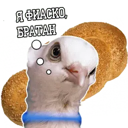 Философствующие голуби sticker 3