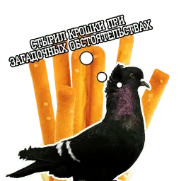 Философствующие голуби sticker 5