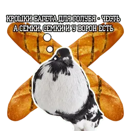 Философствующие голуби sticker 7
