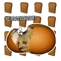 Философствующие голуби sticker 9