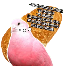 Философствующие голуби sticker 10