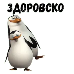 Пингвин Telegram sticker pack