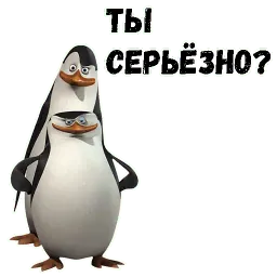 Пингвин sticker 2