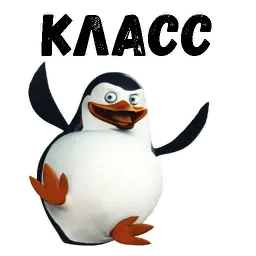 Пингвин sticker 11