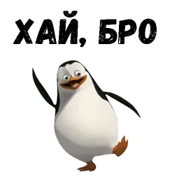 Пингвин sticker 3