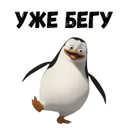 Пингвин sticker 6