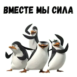 Пингвин sticker 7