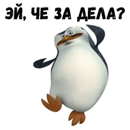 Пингвин sticker 10