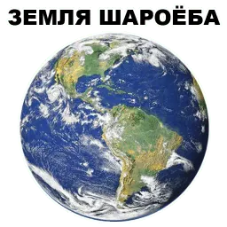 Плоскоёбы sticker 4