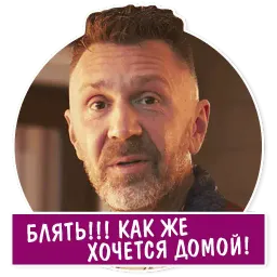 Пора домой sticker 3