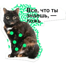 Позируй псина sticker 2