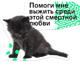 Позируй псина sticker 11