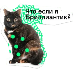 Позируй псина sticker 4