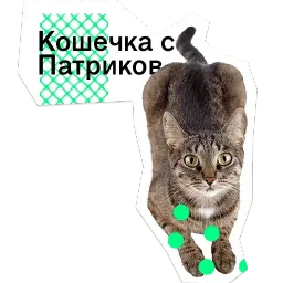 Позируй псина sticker 5