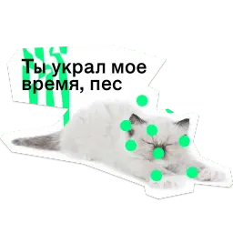 Позируй псина sticker 6