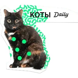 Позируй псина sticker 7