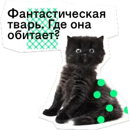 Позируй псина sticker 8