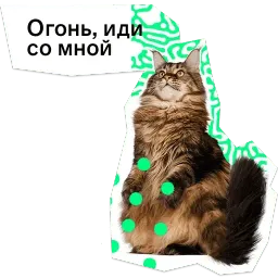Позируй псина sticker 9