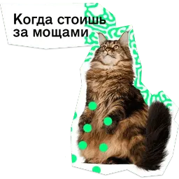Позируй псина sticker 10