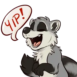Procyon sticker 12