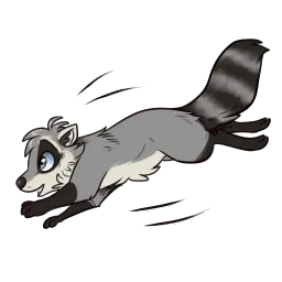 Procyon sticker 4