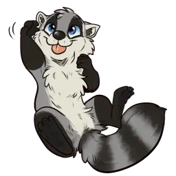 Procyon sticker 7