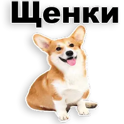 Щенки sticker 2