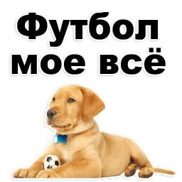 Щенки sticker 11