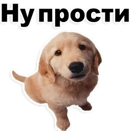 Щенки sticker 5