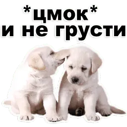 Щенки sticker 8