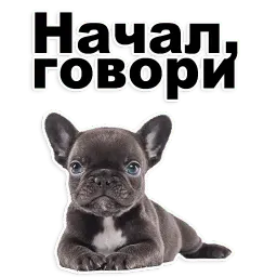 Щенки sticker 9
