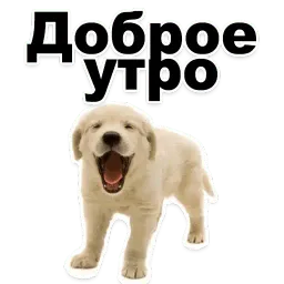 Щенки sticker 10