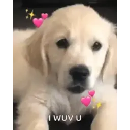 Щеночки sticker 3