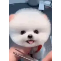 Щеночки sticker 6