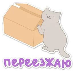 Замурчательный кот sticker 12