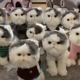 Котики sticker 5