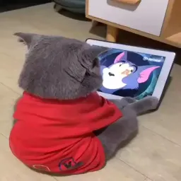 Котики sticker 9