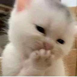 Котики sticker 5