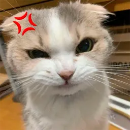 Котики sticker 8