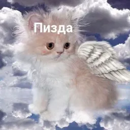 Котики sticker 9
