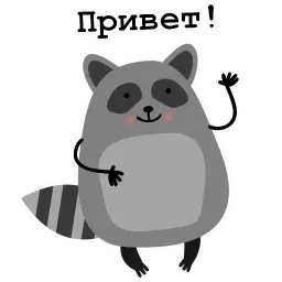 Енот Никита Telegram sticker pack