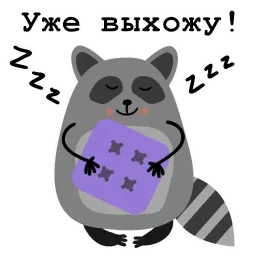 Енот Никита sticker 12