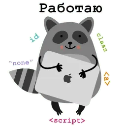 Енот Никита sticker 3
