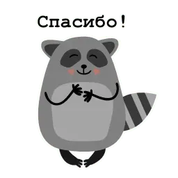 Енот Никита sticker 5