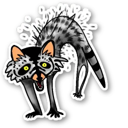 Raccoon sticker 4