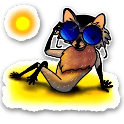 Raccoon sticker 9