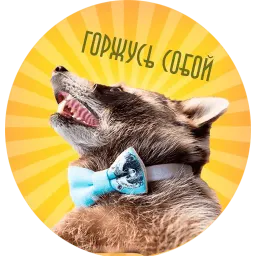 Tema sticker 10